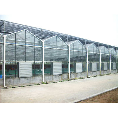 качество  Tomato Mushroom Growing with Commercial Hydroponic Systems Gothic Polycarbonate Cover Type Greenhouse завод