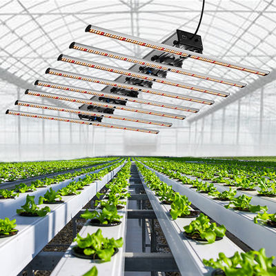 качество  Seed Starting Full Spectrum Cob Led Grow Light For Medicinal Plants Veg And Flower 1000W LED Grow Light завод