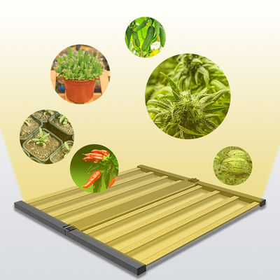 качество  Seed Seed Growing Full Spectrum 600W Indoor Plants Hydroponic Lamp Folding Greenhouse Lamp Dimmable 4x4 lm301h Led Grow Light завод